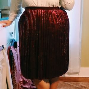 Pleated Skirt